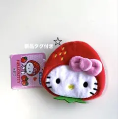 サンリオ ハローキティ いちご 野いちご ポーチ ペンケース レトロ