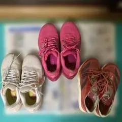 ペガサス40 タクミセン10 ペガサス39 アディゼロ　NIKE