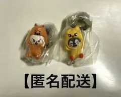 Stray Kids skzooつまんでつなげてますこっと バンチャン リノ