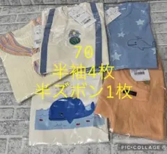新品　コンビミニ　70サイズ 半袖Tシャツ4枚 半ズボン1枚セット　ラップパンツ