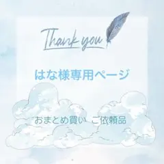 はな様専用ページ リクエスト 13枚 まとめ売り