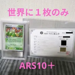 2026年最新】ars鑑定 10+の人気アイテム - メルカリ
