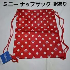 ミニー ナップサック 訳あり