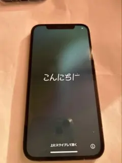 Apple iPhone12 Pro 256G