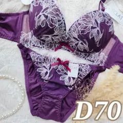 №1209【D70】ダスティリリーエンブロイダリー育乳脇高ブラジャー&ショーツ