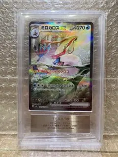 2025年最新】ミロカロス sarの人気アイテム - メルカリ