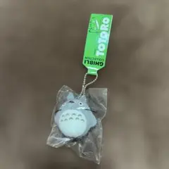 あいあい様　新品未使用　トトロ　ジブリ　キーホルダー