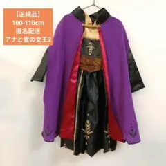 アナ雪2 コスチューム　コスプレ　アナ　ハロウィン　キッズ　100cm 110
