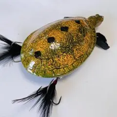 カメキング # 黒砂金亀 - メルカリ
