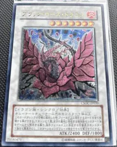 2026年最新】レリーフ ブラックローズドラゴンの人気アイテム - メルカリ