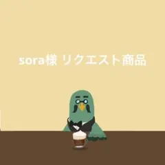 sora様 リクエスト商品