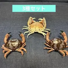 Item thumbnail for item f42f248e-e10e-4c5e-9edf-d18f1eb35fea