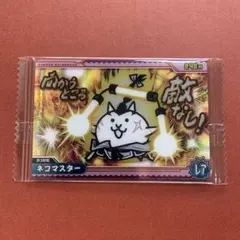 さくらこ様 リクエスト 2点 まとめ商品