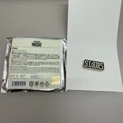 SEVENTEEN セブチ HOLIDAY ピンズ エスクプス