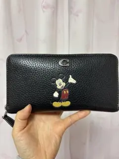 DISNEY X COACH アコーディオン ジップ ウォレット