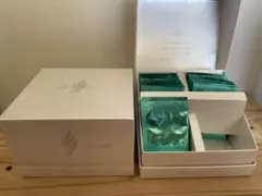 イミュナージュパパイヤ発酵食品 - メルカリ