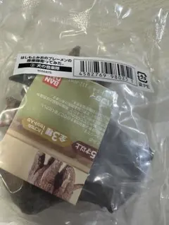 はしもとみお　犬の音楽隊