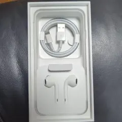 Apple 純正イヤホン & Lightningケーブルセット