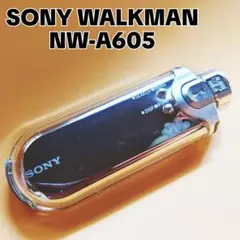 SONY WALKMAN ソニーウォークマンNW-A605 付属品付美品シルバー Yahoo!オークション -「nw-a605」の落札相場・落札価格