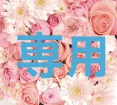 専用出品