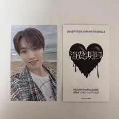Seventeen セブチ 会場限定 ユニバ 福岡 ディノ