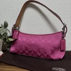 人気色 ＣＯＡＣＨ アクセサリーポーチ ワンショルダー シグネチャー キャンバス