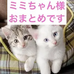 ミミちゃん様 リクエスト 5点 まとめ商品