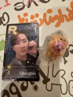Stray Kids Changbin シュスジェ　エコパ　おまけ