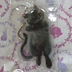 2026年最新】チシャ猫の人気アイテム - メルカリ