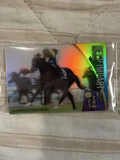 【超希少】　ディープインパクト×武豊騎手直筆サインカード　9シリ ディープインパクト 箔押しサイン入り 武豊騎手 - メルカリ