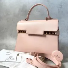【極美品】DELVAUX デルヴォー タンペートMM ハンドバッグ 2wayのサムネイル