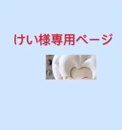 けい様専用ページ