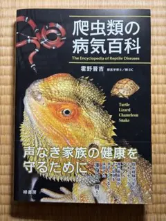 Ghidra 実践ガイド セキュリティコンテスト入門からマルウェア解析まで