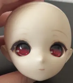 パラボックス 姫姉ヘッド