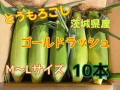 8/6収穫発送　とうもろこし10本　M〜ᒪサイズ　ゴールドラッシュ　限定価格のサムネイル