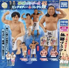 体格ブラザーズ ビッグボディコレクション