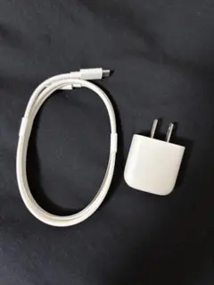 【純正品】IQOS ILUMA アイコス イルマ 充電器ケーブル