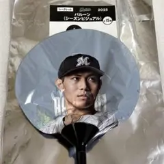 Item thumbnail for item 954c9720-feba-4dfb-badb-a10153d809b2