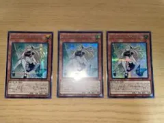 2026年最新】エンディミオンの侍女ジェニー シークレットの人気