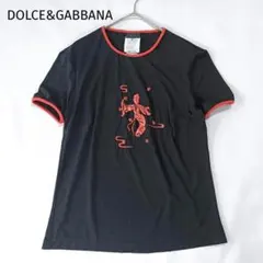 希少】EVISU Tシャツ 蛇 目玉プリント ダークブラウン - メルカリ
