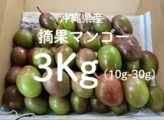 摘果マンゴー 16kg 10~48g 摘果マンゴー 約16Kg （※梱包を含む） - メルカリ