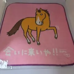 おがわじゅりイラストパネル（ソダシ） 直筆サイン入り　JRAポイント交換 おがわじゅりイラストパネル（ソダシ） 直筆サイン入り JRA