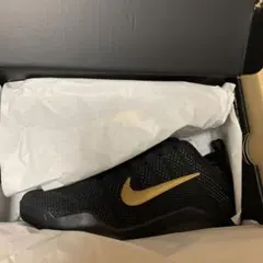 ナイキ コービー11 プロトロ 黒金 26cm IM4260-001