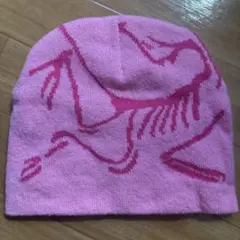 ARC'TERYX ニット帽