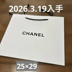 新品未使用　CHANEL シャネル　ショップ袋 ホワイト　ショッパー　紙袋