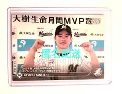 Item thumbnail for item 47da3dfa-7bf7-4552-815b-95450406a9df