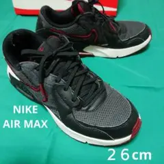 NIKE AIR MAX ２６cm ナイキ エアマックス 愛用品