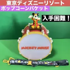 東京ディズニーリゾート　ポップコーンバケット　ミッキー　スーベニア　ディズニー