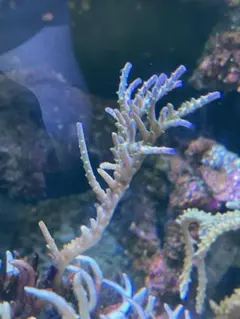 マツ様 リクエスト 2点 まとめ商品