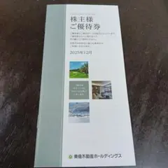 【100株】東急不動産ホールディングス 株主優待券